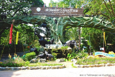 Зоопарк Чианг-Май в Таиланде